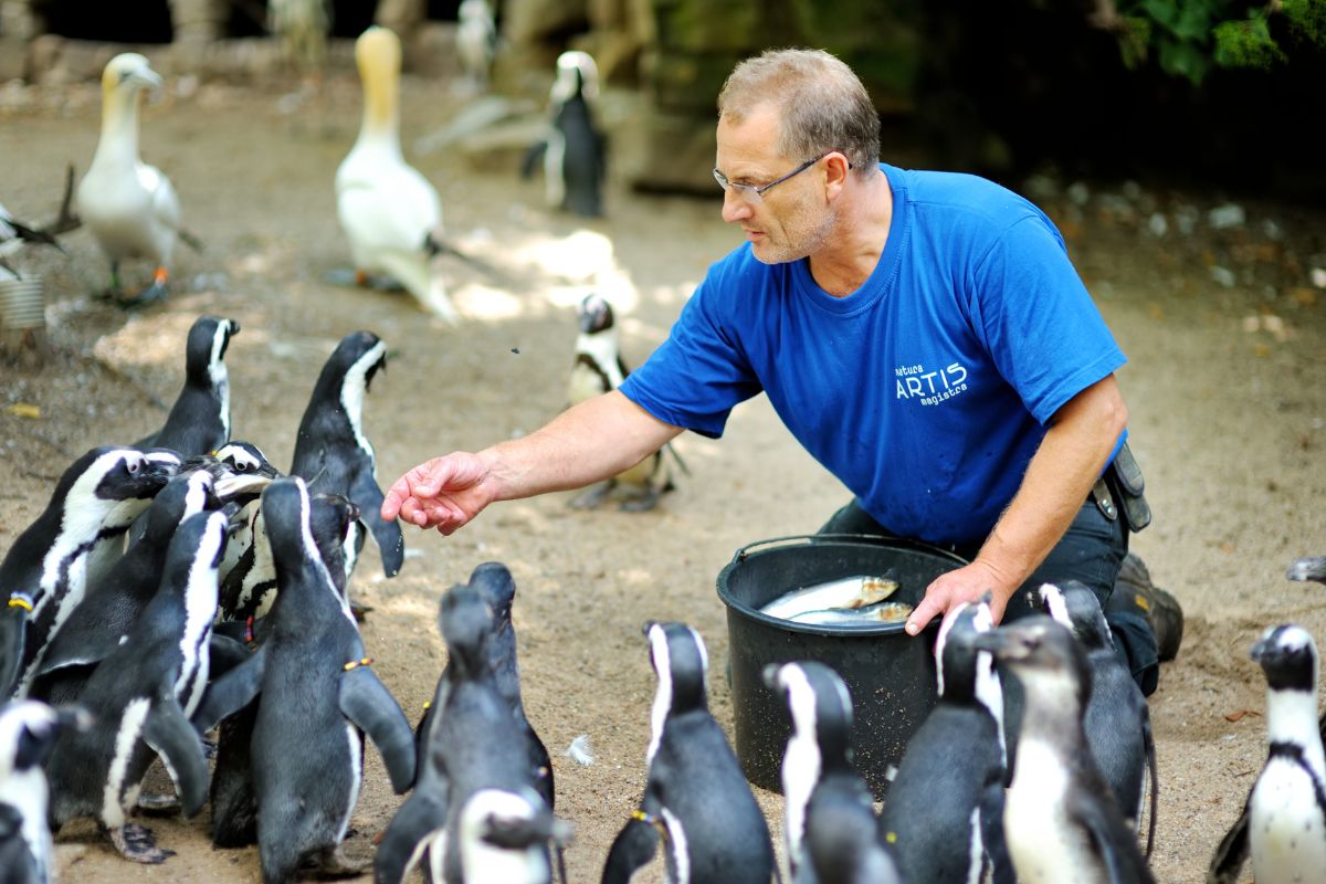 soigneur dans un zoo